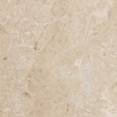 ������ ���������١����� �ʥȥ륳���ˡ�400�ѡ� ����ž塡����������+900��/���