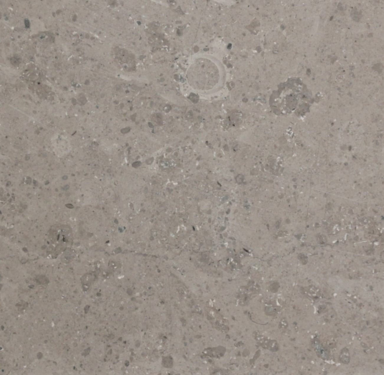 ビクトリアストーン色研磨見本額15種 A ビクトリアストーン研磨見本額15種B 【公式通販】