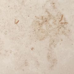 SM04  ������饤��������600�ѡ�����ž塡���������ӡ�
