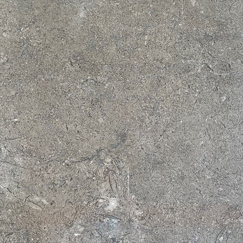 �����С��֥饦�ˡ����졼�ʥ���ɥͥ������ˡ� 400�� ����ž塡���������ӡ�+800��/���