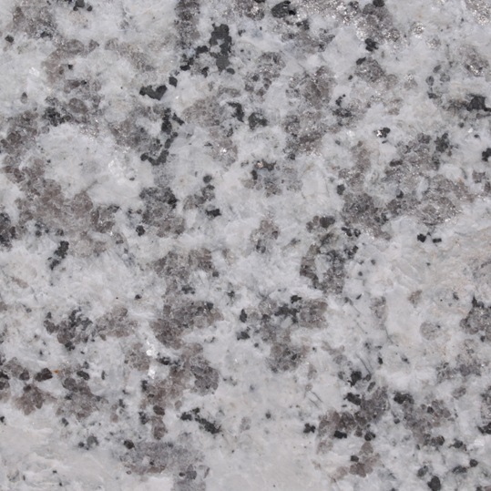 ߥ G439400ѡž塦Сʡž+800/