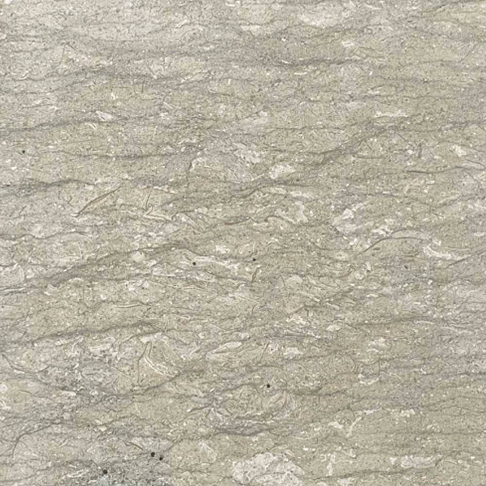 �����С��ѥ��⥰�꡼��ʥ���ɥͥ������ˡ� 400�� ����ž����������+800��/���