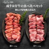 【人気ランキング2021 1位!】はらからの逸品 牛たん 塩味スライス 選べるサイズ 250g,300g,500g,1kg,1.5kg)【送料込み】※沖縄・離島を除く