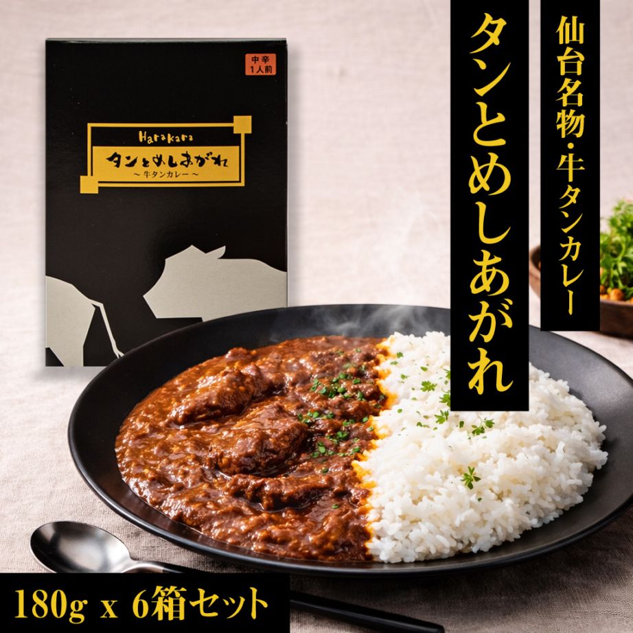 【肉職人の手作り】生ハンバーグ 10個セット はらからの逸品 宮城県製造 ギフト 牛たん入り A5牛脂入り（ハンバーグ10個セット）【送料込み】※沖縄・離島を除く