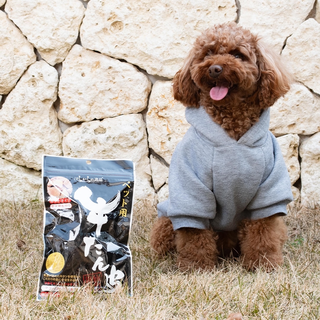 【はらからの逸品】セット販売 / 牛たん皮 フリーズドライ カット 選べるサイズ＆パック数（40g / 100g）【送料込み】※沖縄・離島を除く