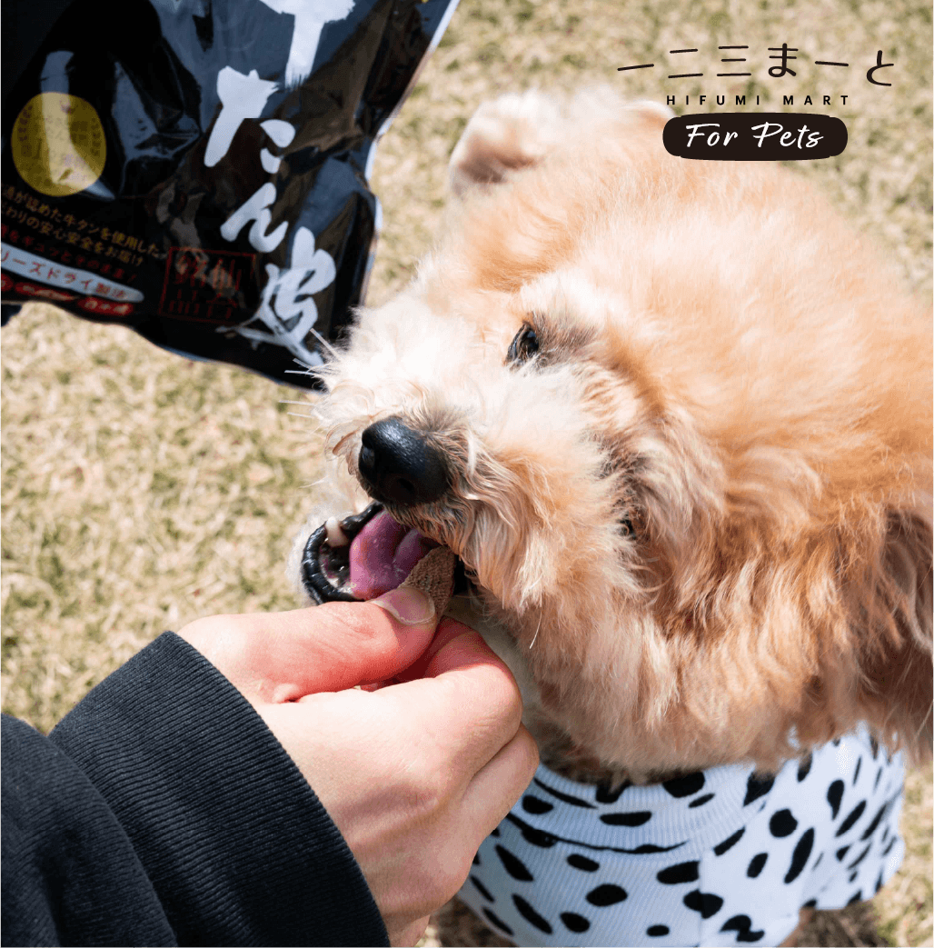 【はらからの逸品】牛たん皮 フリーズドライ ふりかけ 選べるパック数（30g）【送料込み】※沖縄・離島を除く