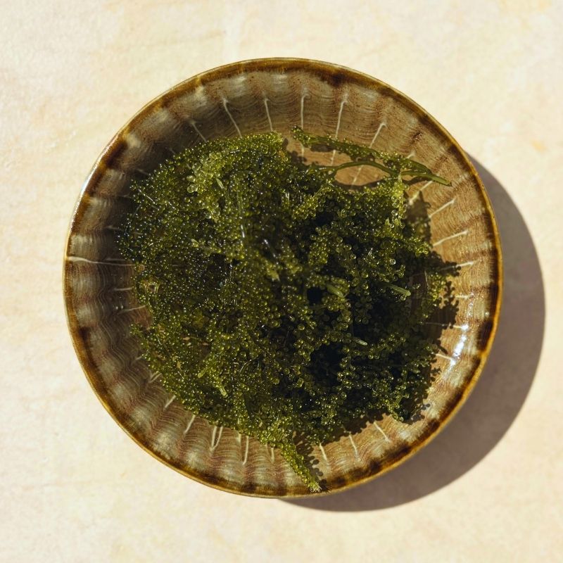 【お取り寄せグルメ】翠珠（すいじゅ）沖縄県産 海ぶどう A級品｜500g・1kg・2kgから選べる｜沖縄 海藻 ぷちぷち食感 ギフト
