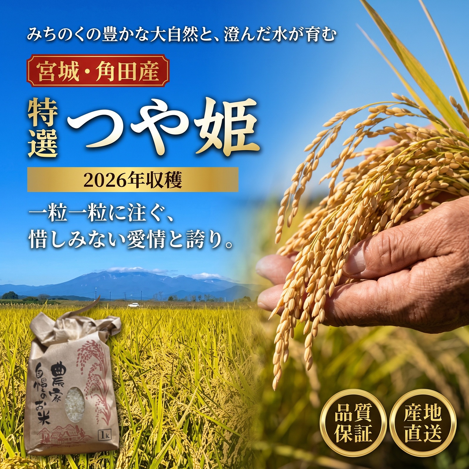 2026年収穫】宮城県角田産つや姫（玄米・精米） 選べるサイズ(5kg