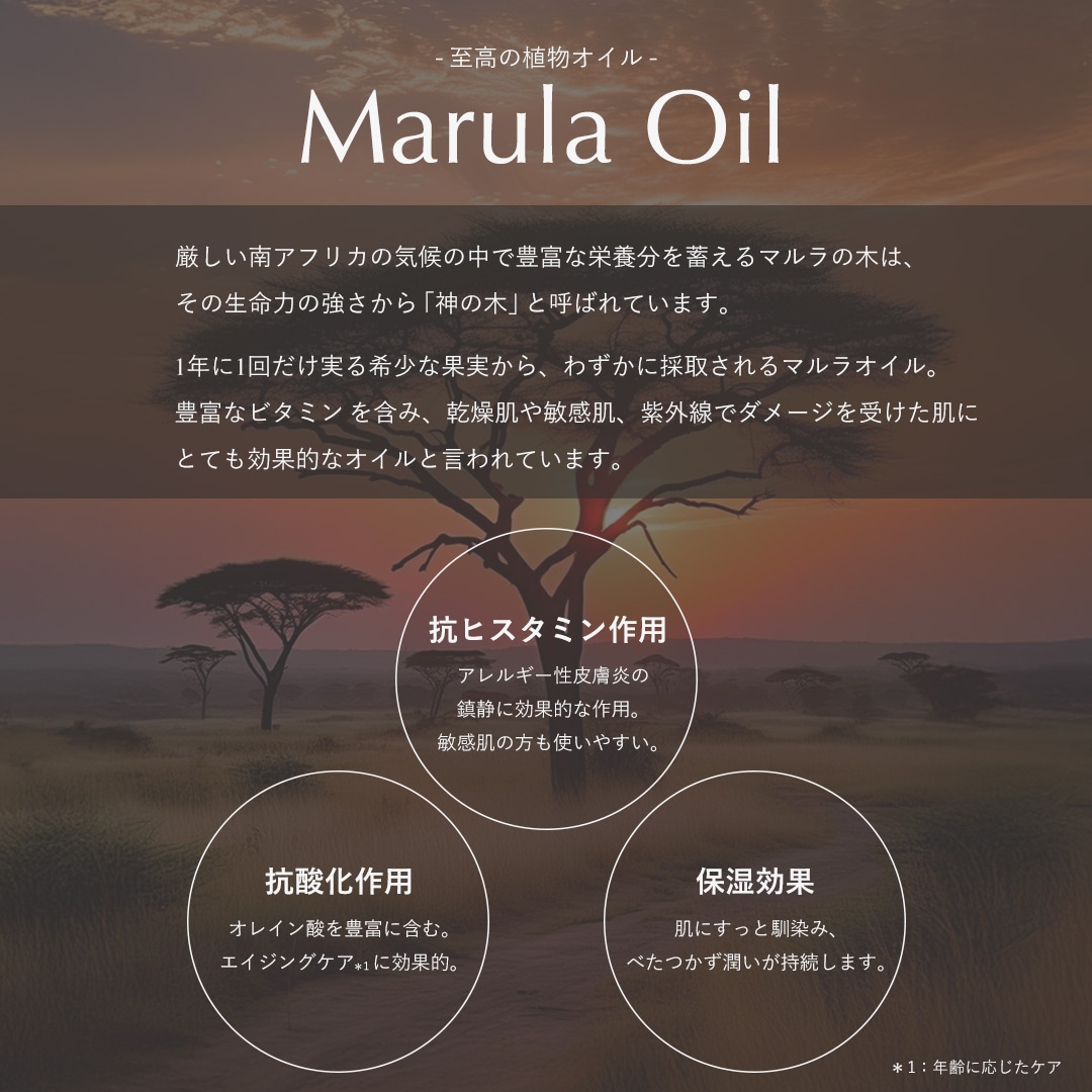 ַꡡ񻺥쥤ޥ饪۹硪W Ȥ륯󥸥󥰡ink. 󥸥󥰥С åեå90g50ʬե롼ƥȥ饹ι