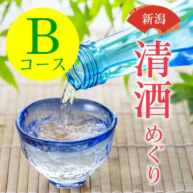 新潟清酒めぐり 頒布会 B.スペシャルセレクト 2026【企画元直送便(クール便)】【締切日：5月7日（6月中旬発送）】