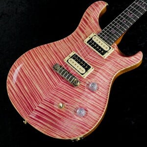 カスタムオーダー (エレキギター × その他カラー)の検索結果 | ギター