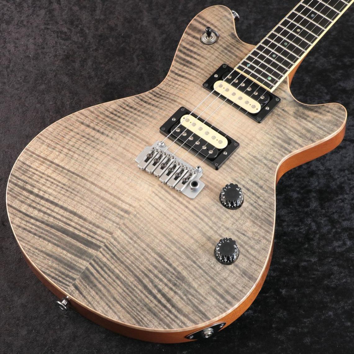 中古】TS GUITARS / Arc STD-24 【御茶ノ水本店】【値下げ】 | その他