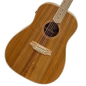 Cole Clark / CCFL2の検索結果 | ギター、アコギ、管楽器などを扱う