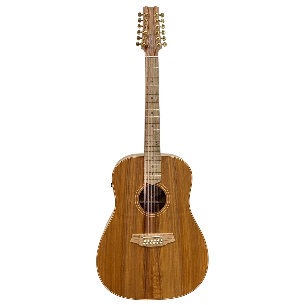 Cole Clark / FL Dreadnought Series CCFL2E-12-BLBL 2 Grade All