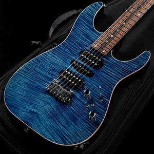 TS GUITARS)の検索結果 | ギター、アコギ、管楽器などを扱う全国12店舗