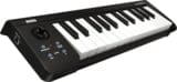 KORG コルグ / MICROKEY-25