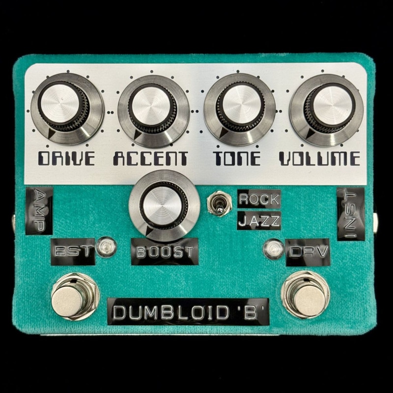 Shins Music / Dumbloid B Boost Mint Green Velvet Psycedelic Panel