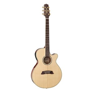 Takamine / 100 Thinline TSP138C N Natural 高峰楽器製作所 タカミネ