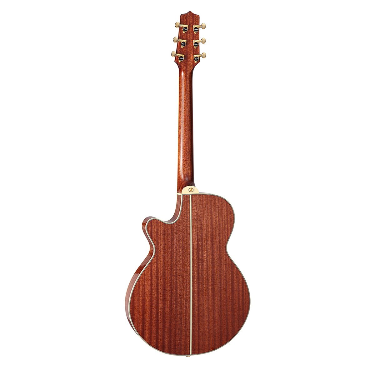 Takamine / 100 Thinline TSP138C N Natural 高峰楽器製作所 タカミネ