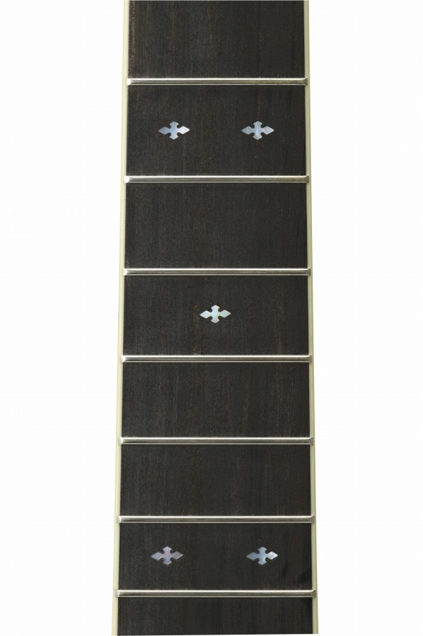 YAMAHA / LL16D ARE Black (BL) 【専用ケースつき】 ヤマハ