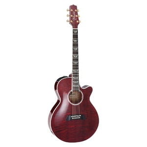 Takamine / FPT181AC WR 100 Series ショート・スケール 高峰楽器