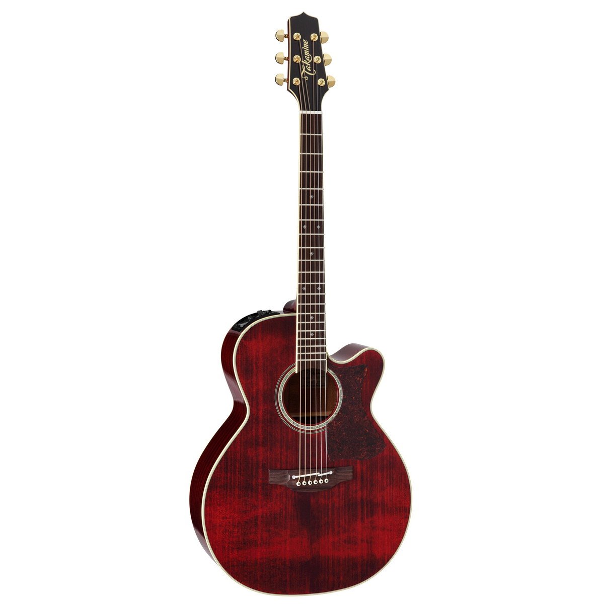ザリBEETテールイノウエコミネキジマレア物希少JMC Takamine / 500-series DMP551C WR Wine Red 高峰楽器製作所 タカミネ