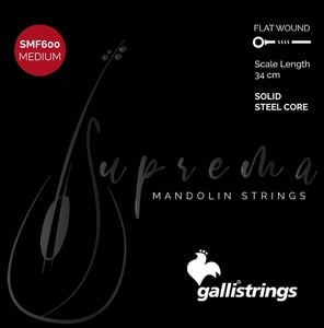 《WEBSHOPクリアランスセール》Gallistrings / SMF600 Medium マンドリン弦 .010-.033【イタリア製】