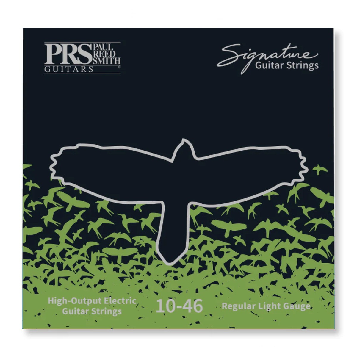 Paul Reed Smith (PRS) / Signature Regular Light Guitar Strings 10
