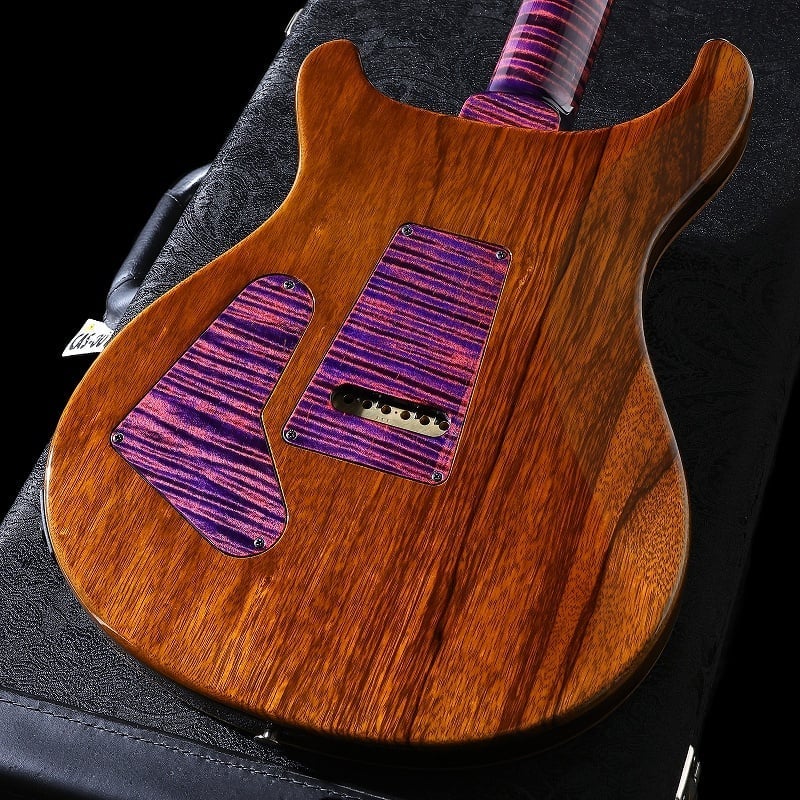 Paul Reed Smith (PRS) / 2023 Private Stock Brazilian #11021 Custom