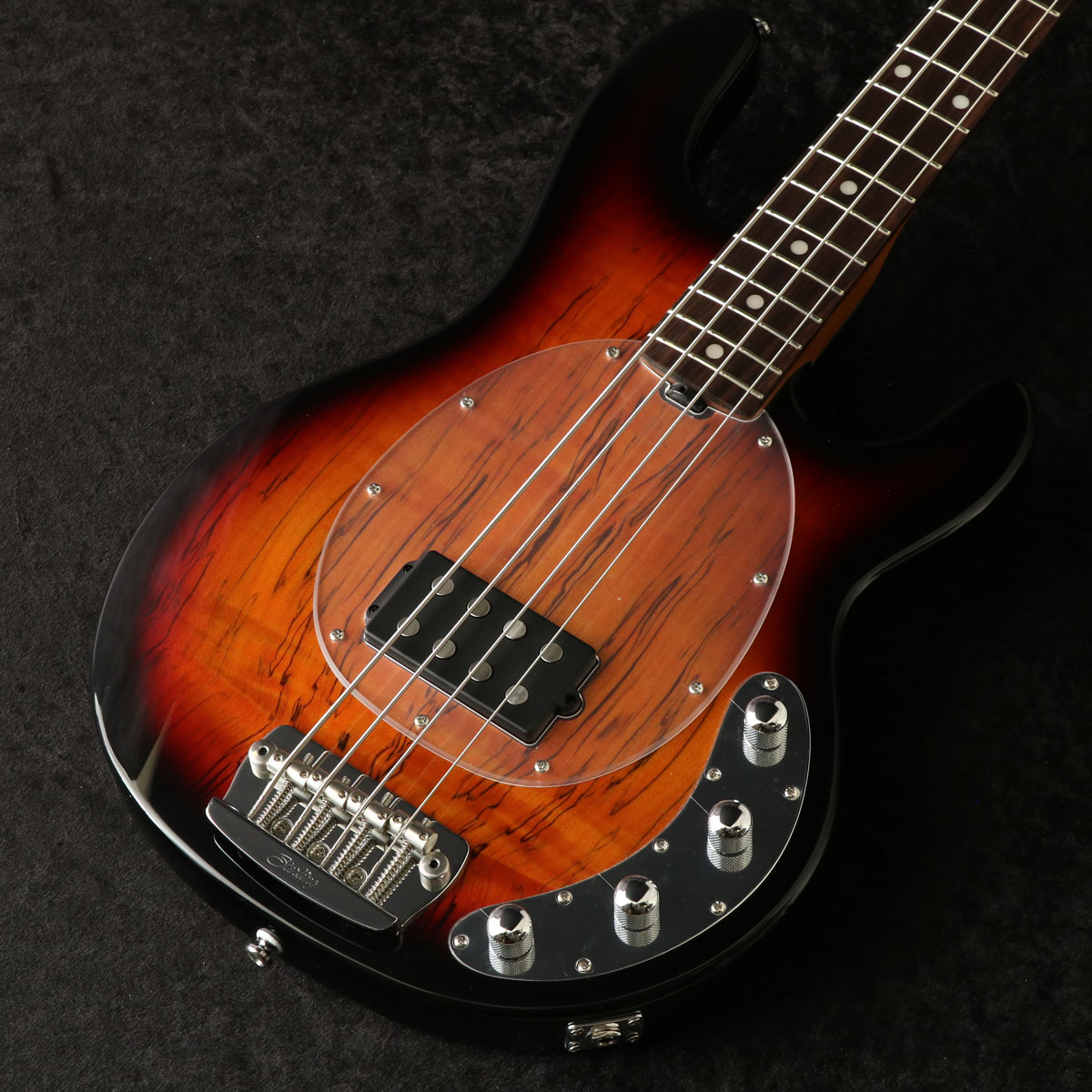 STERLING / Ray34SM 3-Tone Sunburst/Rosewood【S/N SR73428】【アウトレット】 【御茶ノ水本店】
