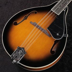 Aria / AM-20【S/N 47024003404】【御茶ノ水HARVEST_GUITARS】