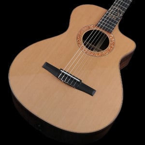 Taylor / JMSM Jason Mraz Signature Model【S/N 1211214033】【御茶ノ水HARVEST_GUITARS】