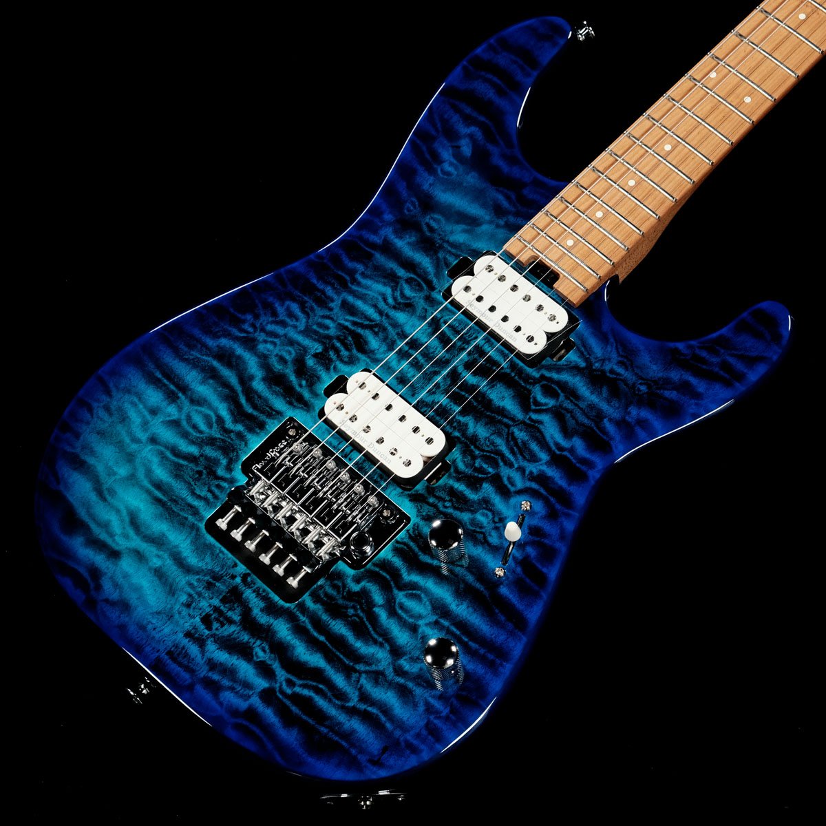 CHARVEL)の検索結果 | ギター、アコギ、管楽器などを扱う全国12店舗の