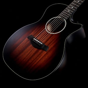 Taylor / Builder's Edition 324ce V-Class(重量:2.20kg)【S/N