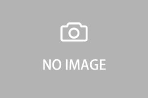 American Professional II Stratocaster Maple Fingerboard Roasted Pine