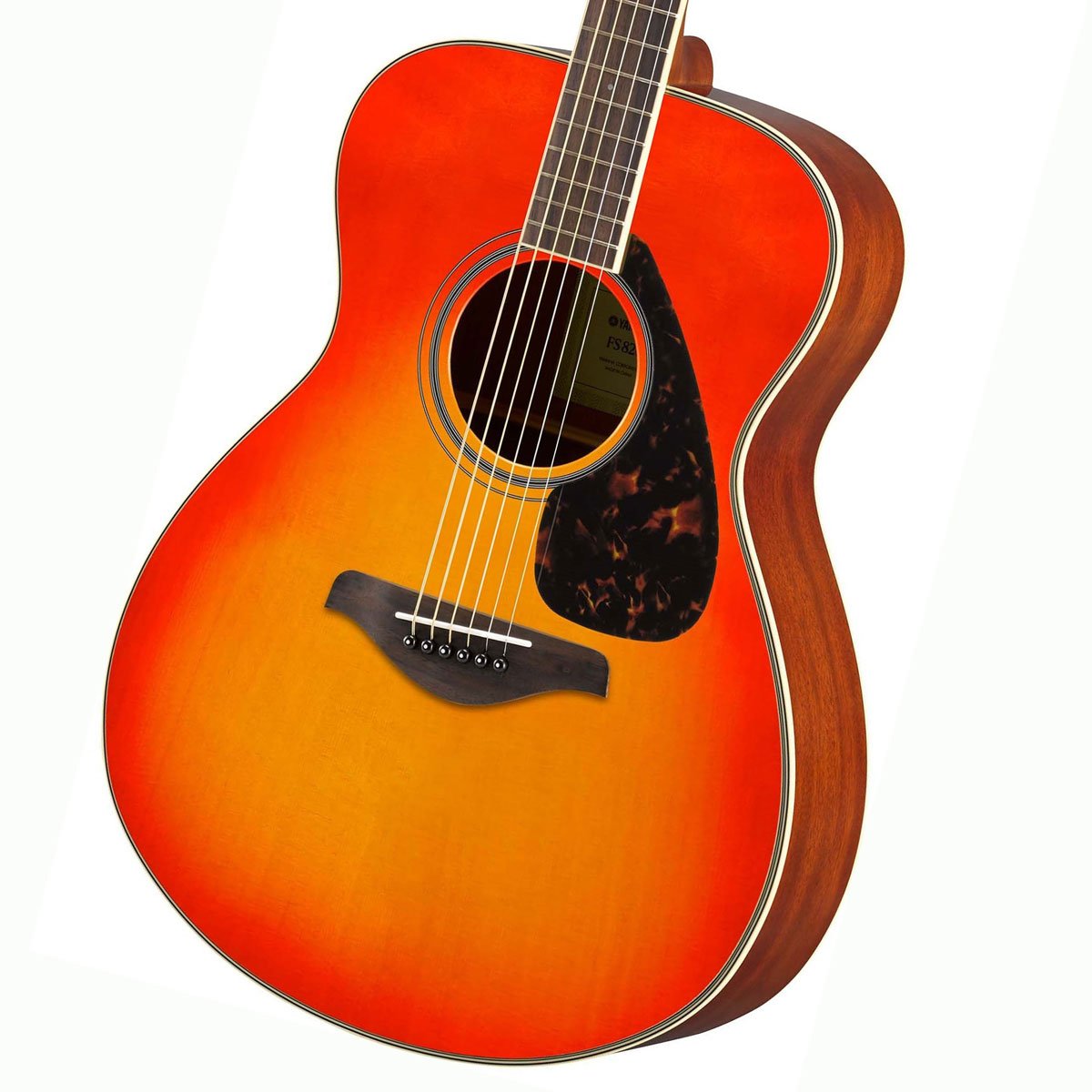 ２回目出品PX5600　DS40　アコギ2本　セット￥98000！ Amazon | アコースティックギター 初心者 セット YAMAHA FS820 TQ