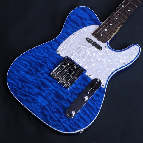 杢目 (テレキャスタータイプ × FENDER MADE IN JAPAN 他3条件)の検索