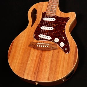 Cole Clark / CCTLの検索結果 | ギター、アコギ、管楽器などを扱う全国