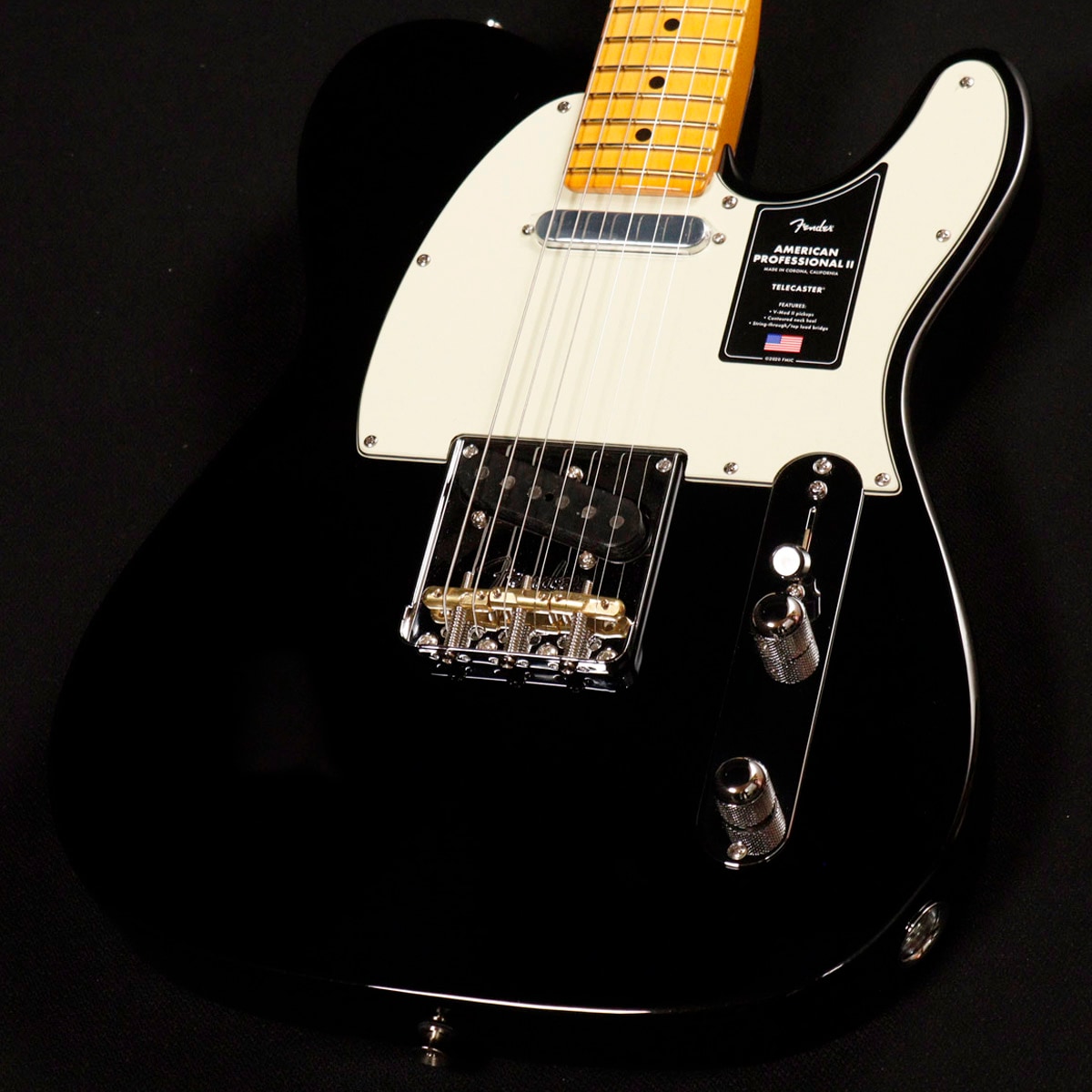 テレキャスタータイプ × ブラック × 心斎橋店)の検索結果 | ギター