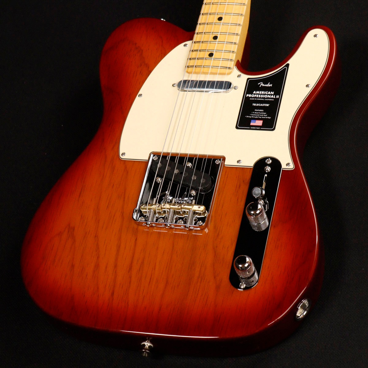 テレキャスター【いいねは今月中に購入検討可能な方のみ】 テレキャスタータイプ × 210,000円〜309,999円 他2条件)の検索結果