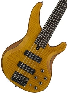 YAMAHA / TRBX605FM Mat Amber (MAM) ヤマハ【5弦ベース】