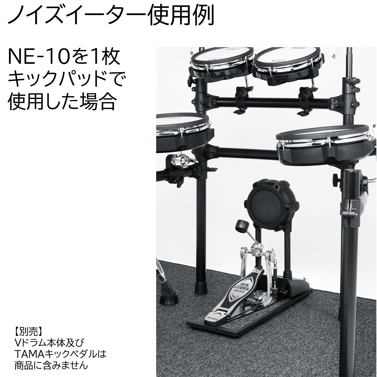 Roland / NE-10 ボード・タイプ・ノイズイーターx2枚セット