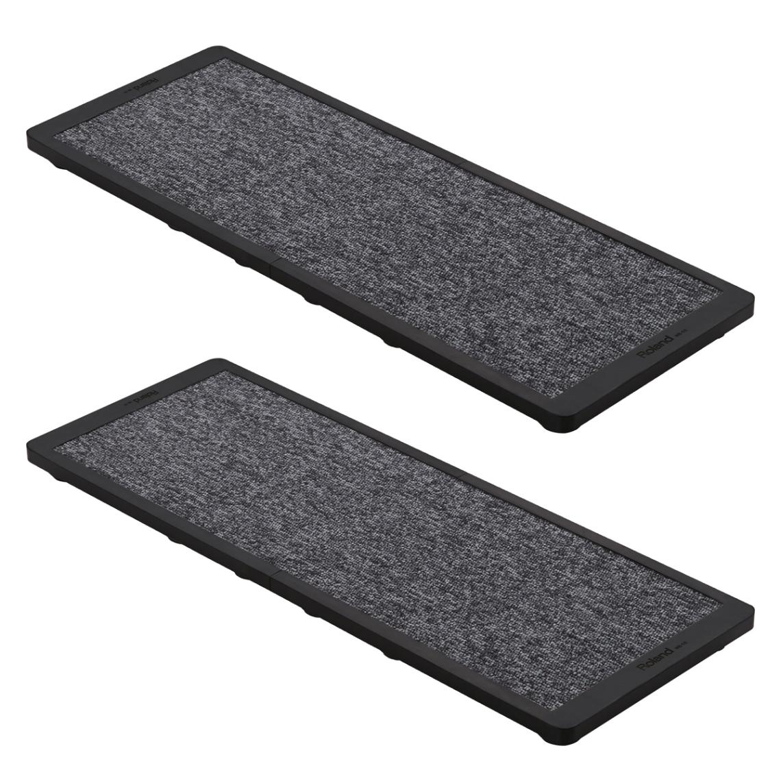 Roland / NE-10 ボード・タイプ・ノイズイーターx2枚セット