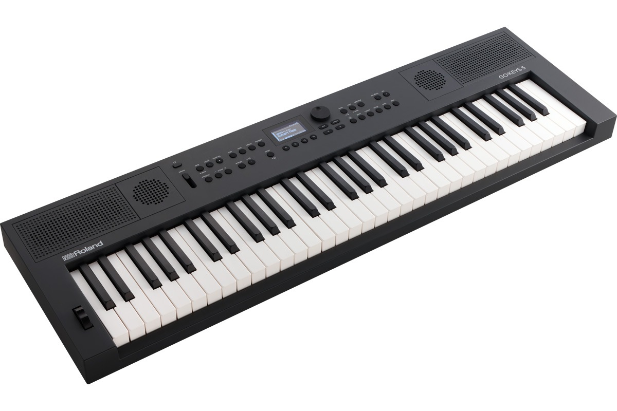 Roland ローランド / GOKEYS5-GT [背負えるキャリング・バッグ