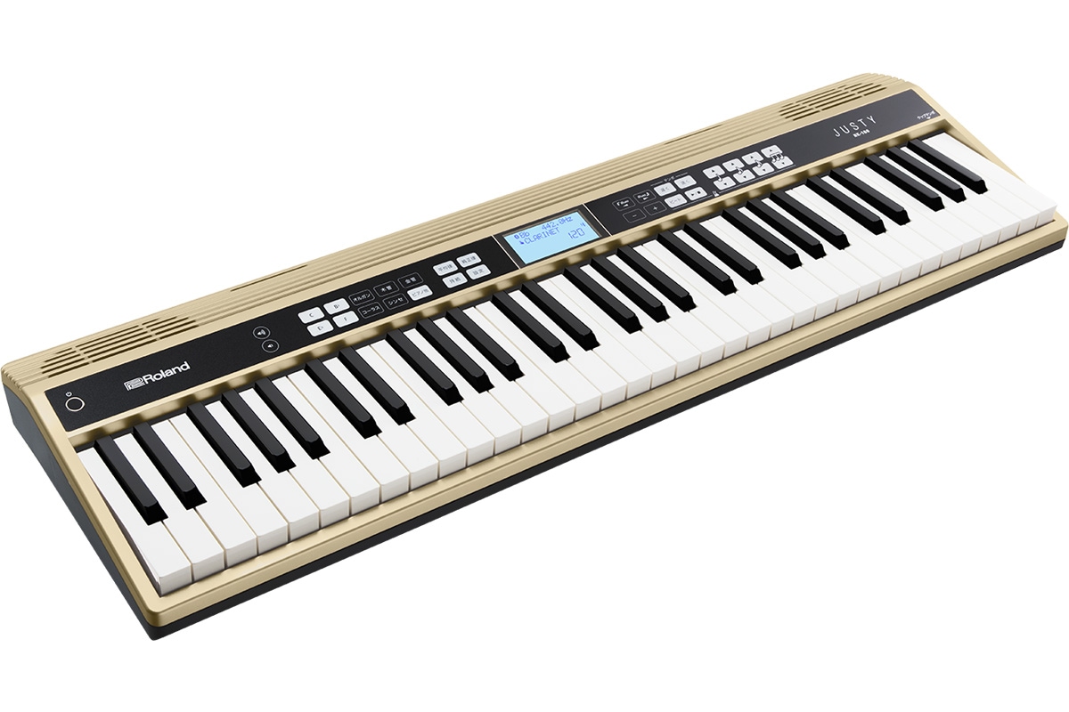 ローランド　ジャスティ　HK-100 キャリングケース付き Roland ローランド / JUSTY HK-100 【ケースセット】 ハーモニー