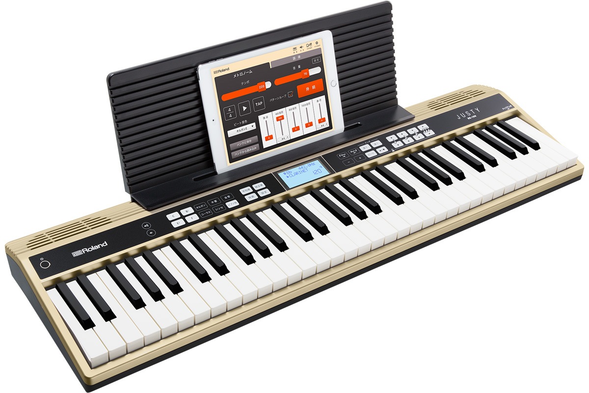 Roland ローランド / JUSTY HK-100 【ケースセット】 ハーモニー