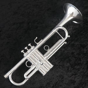 トランペット (460,000円〜659,999円)の検索結果 | ギター、アコギ