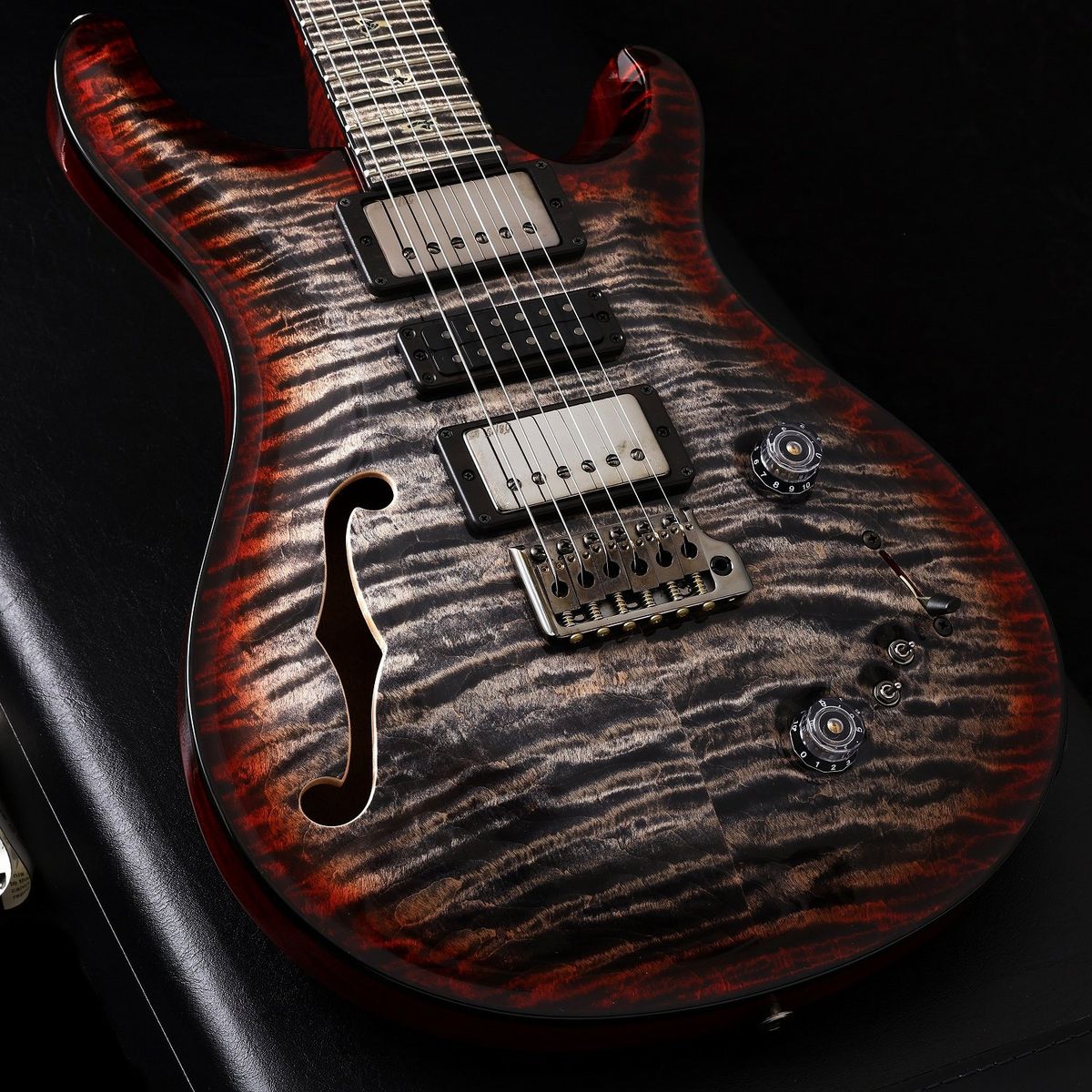 Paul Reed Smith (PRS) / 2023 Private Stock #10586 Special Semi