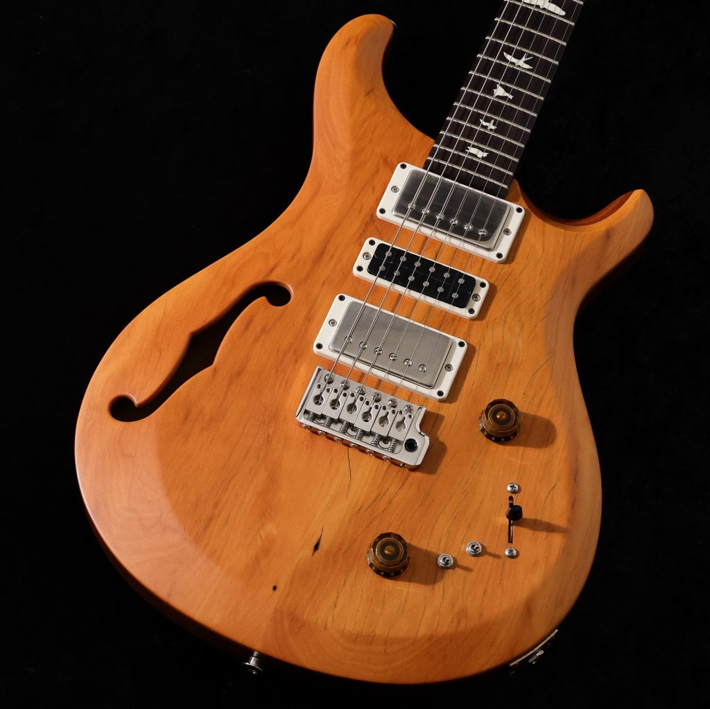 Paul Reed Smith (PRS) / 2025 S2 Special Semi-Hollow Reclaimed