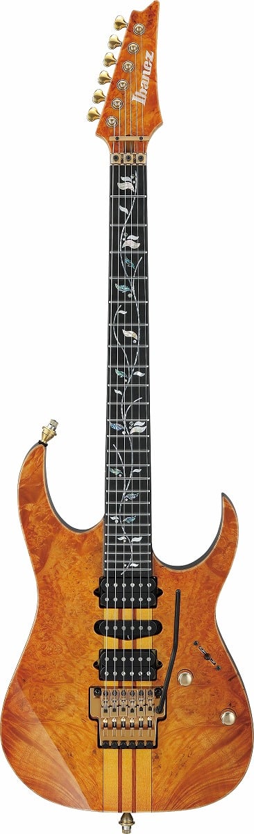 Ibanez / VISIONS IV1RG《주문 생산・예약 주문/납기 목표: 1년》 사진 3